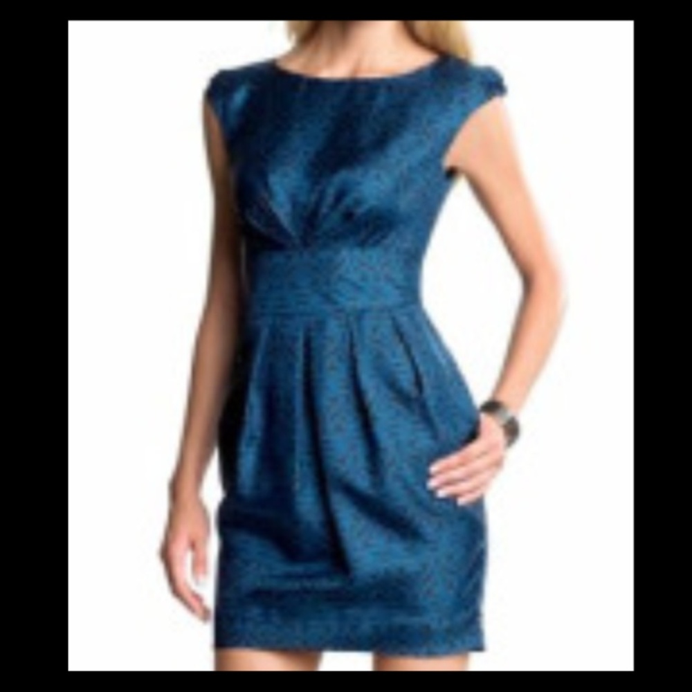 100% Silk Banana Republic dress